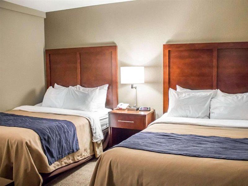 פרמונט Comfort Inn & Suites מראה חיצוני תמונה