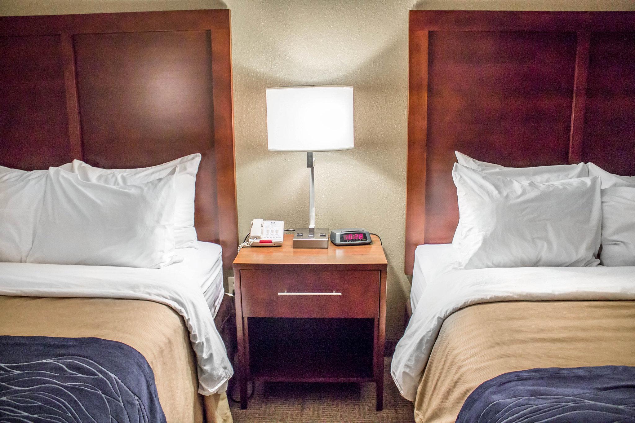 פרמונט Comfort Inn & Suites מראה חיצוני תמונה