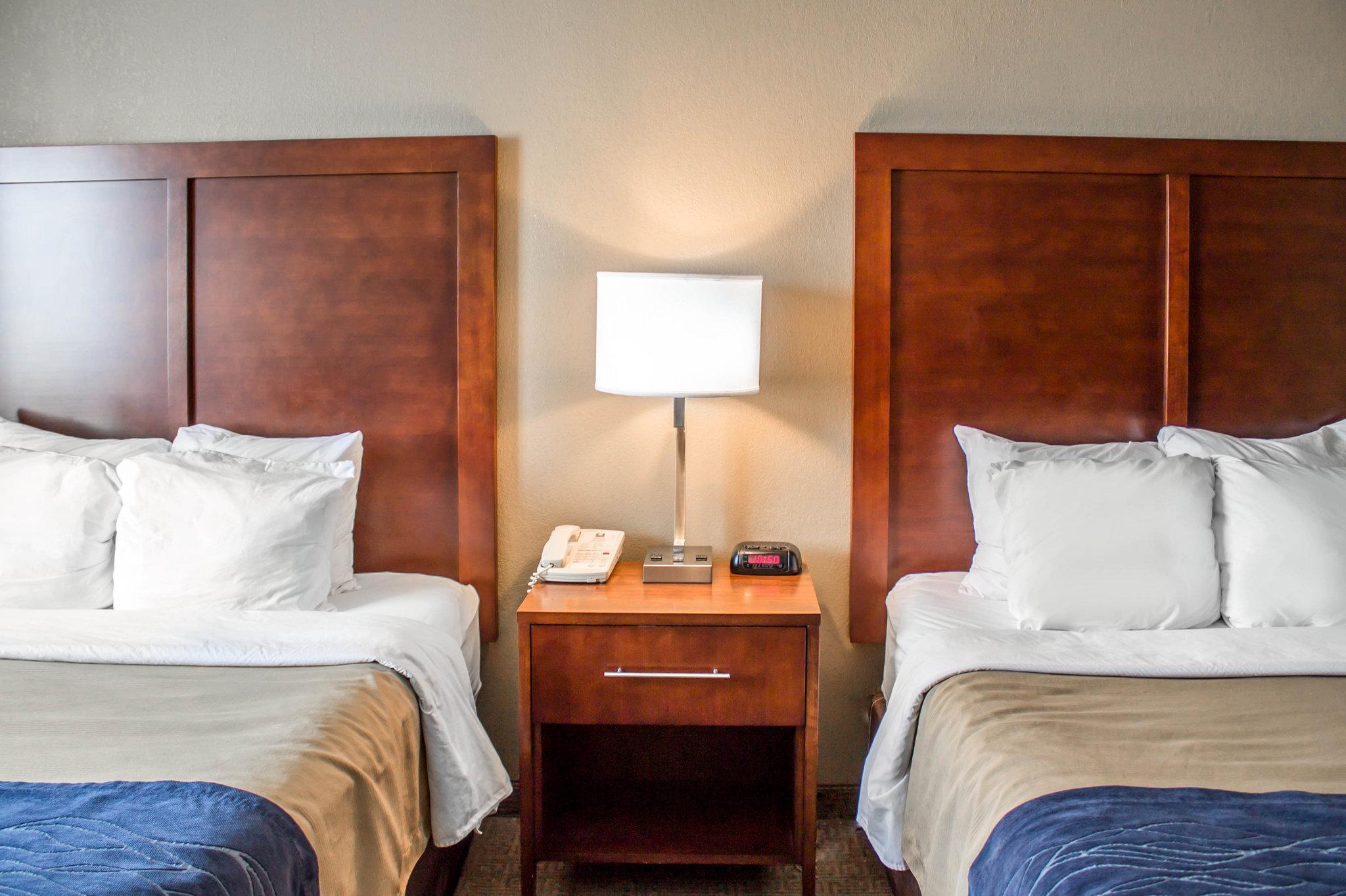 פרמונט Comfort Inn & Suites מראה חיצוני תמונה