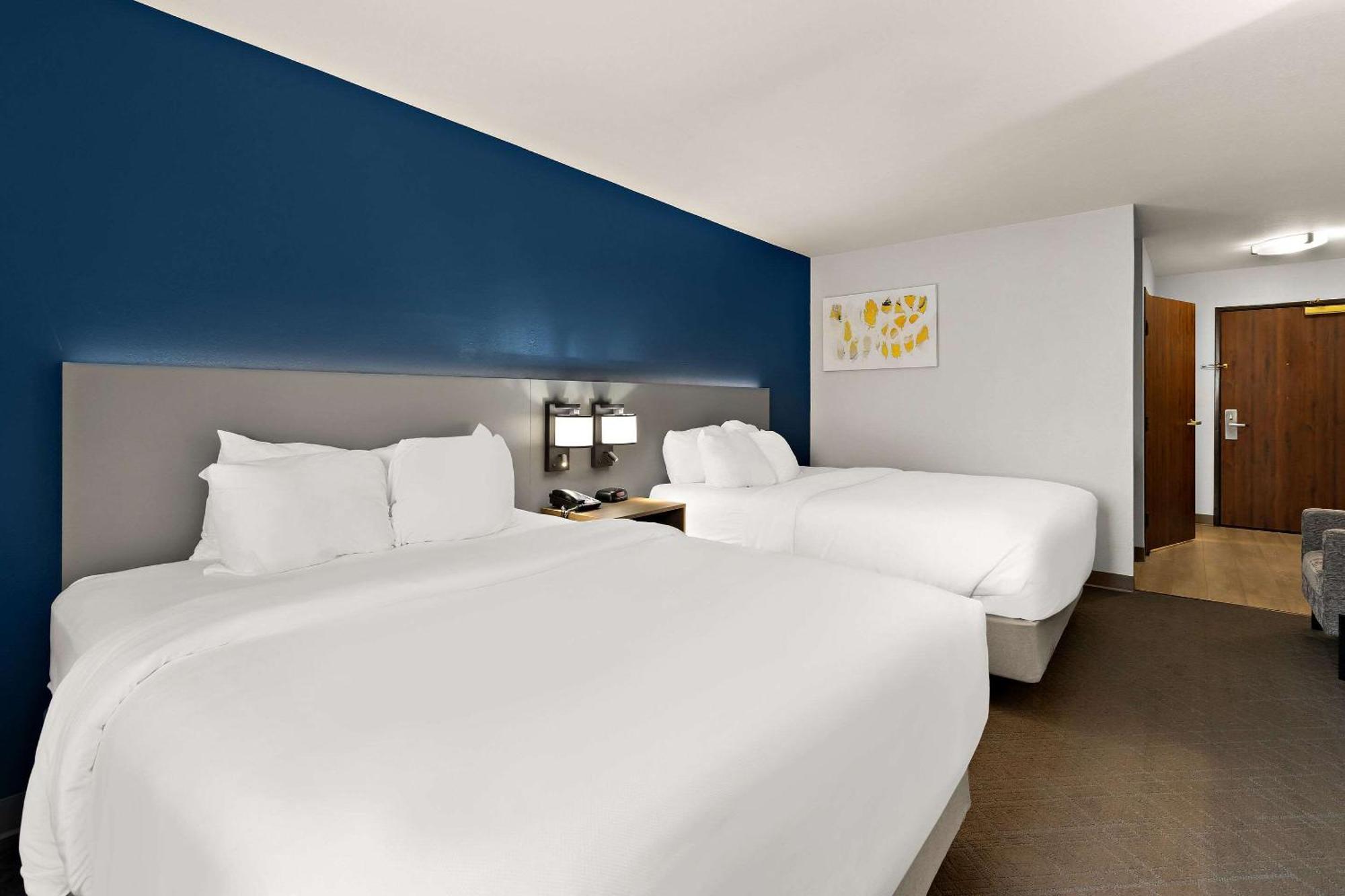פרמונט Comfort Inn & Suites מראה חיצוני תמונה