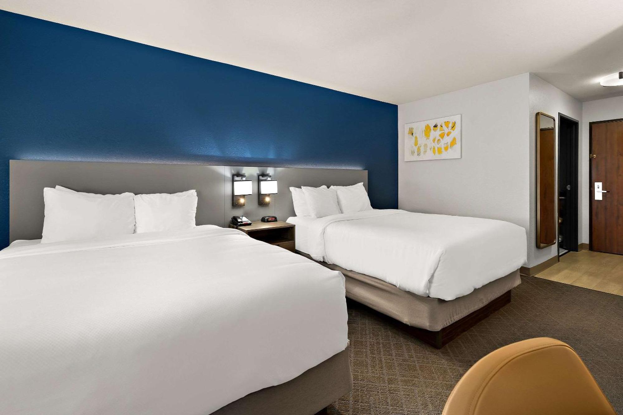 פרמונט Comfort Inn & Suites מראה חיצוני תמונה