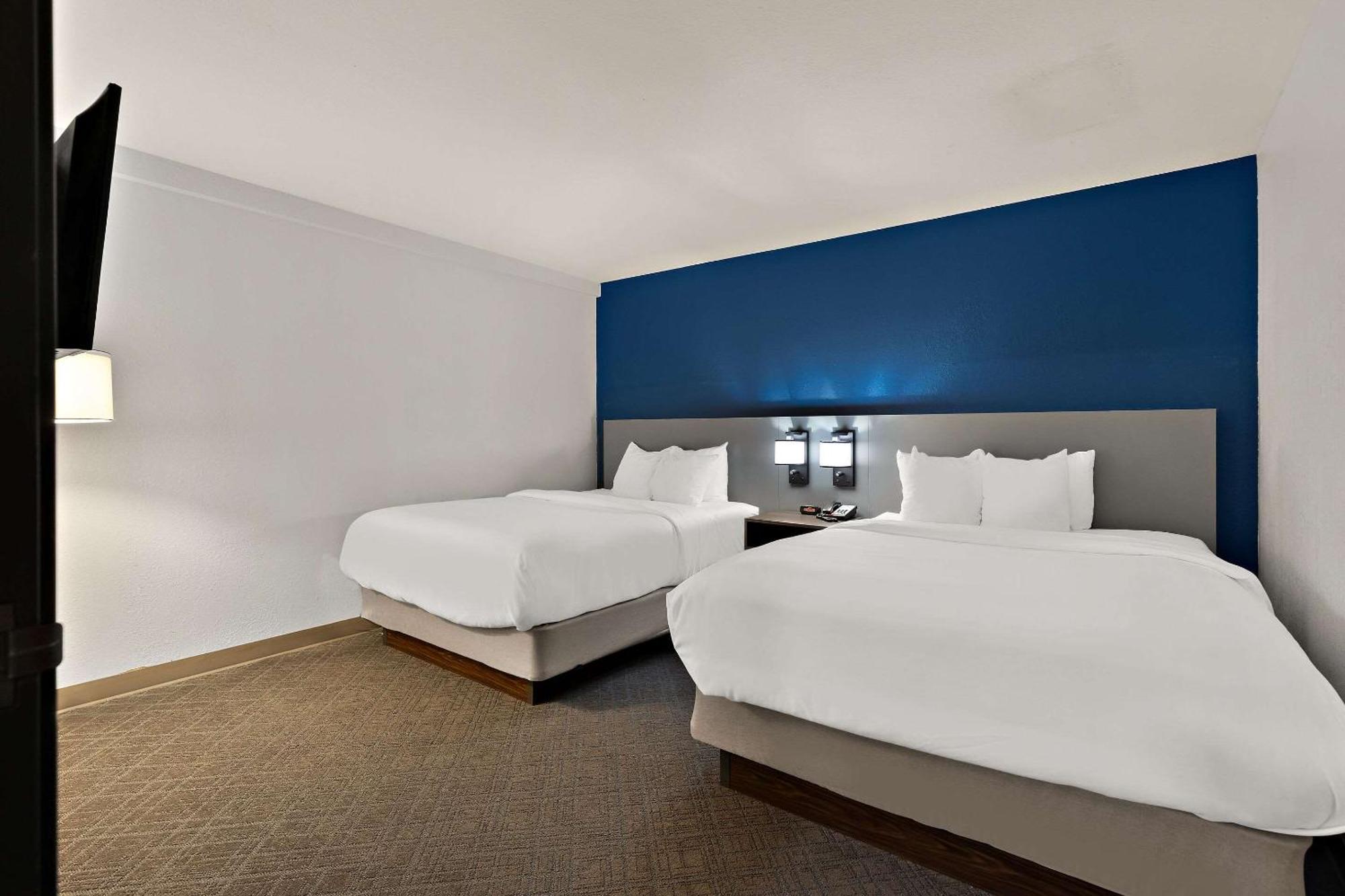 פרמונט Comfort Inn & Suites מראה חיצוני תמונה