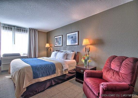 פרמונט Comfort Inn & Suites מראה חיצוני תמונה